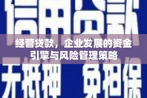 吴川经营贷款，企业发展的资金引擎与风险管理策略