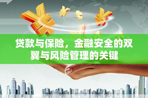 吴川贷款与保险，金融安全的双翼与风险管理的关键
