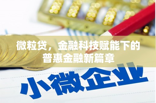 吴川微粒贷，金融科技赋能下的普惠金融新篇章