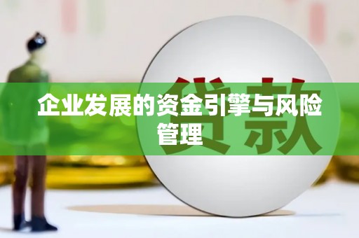 吴川企业发展的资金引擎与风险管理