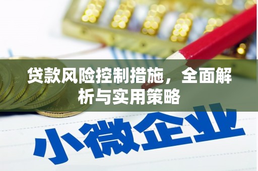 吴川贷款风险控制措施，全面解析与实用策略