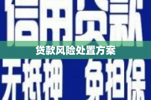 吴川贷款风险处置方案