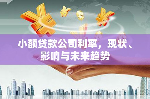 吴川小额贷款公司利率，现状、影响与未来趋势