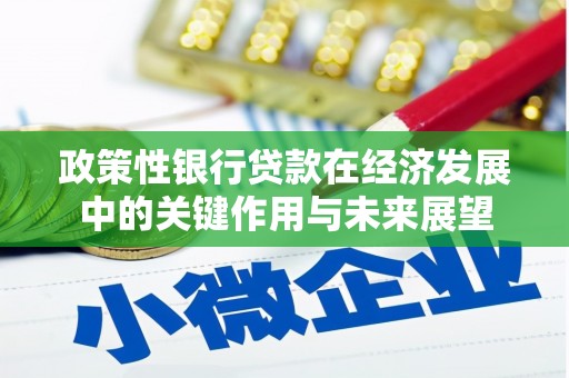 吴川政策性银行贷款在经济发展中的关键作用与未来展望