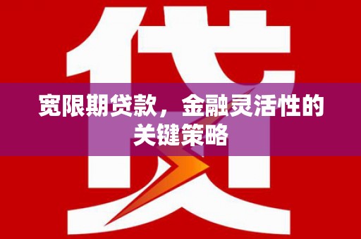 吴川宽限期贷款，金融灵活性的关键策略