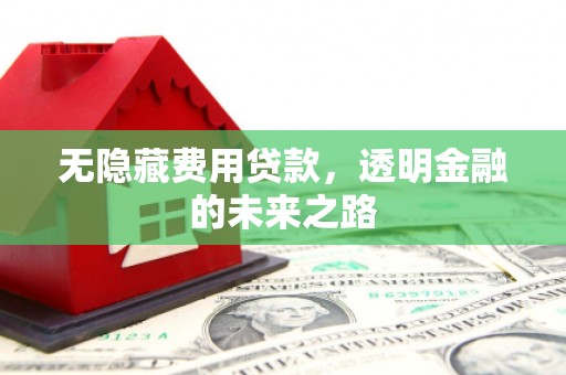 吴川无隐藏费用贷款，透明金融的未来之路