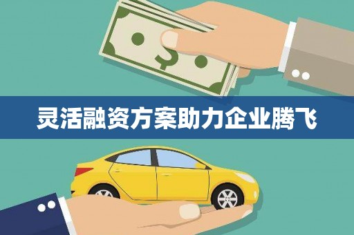 吴川灵活融资方案助力企业腾飞