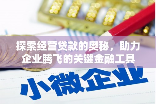 吴川探索经营贷款的奥秘，助力企业腾飞的关键金融工具