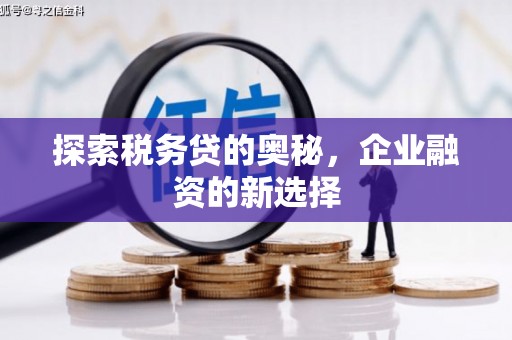 吴川探索税务贷的奥秘，企业融资的新选择