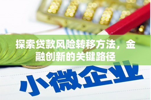 吴川探索贷款风险转移方法，金融创新的关键路径