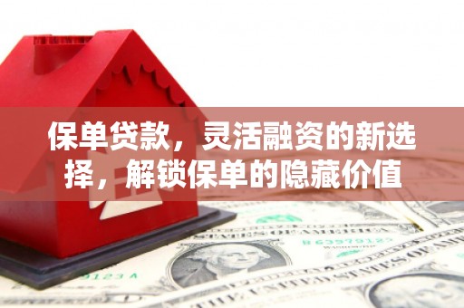 吴川保单贷款，灵活融资的新选择，解锁保单的隐藏价值