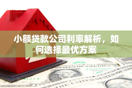 吴川小额贷款公司利率解析，如何选择最优方案