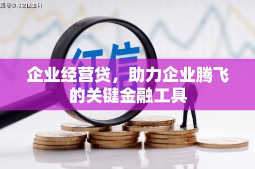 吴川企业经营贷，助力企业腾飞的关键金融工具