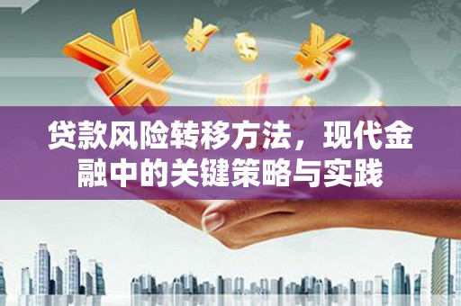 吴川贷款风险转移方法，现代金融中的关键策略与实践