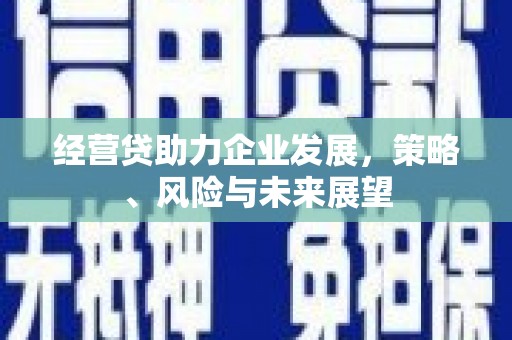 吴川经营贷助力企业发展，策略、风险与未来展望