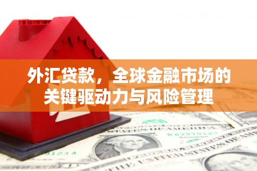 吴川外汇贷款，全球金融市场的关键驱动力与风险管理