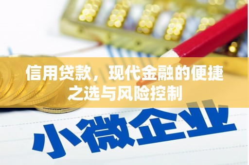 吴川信用贷款，现代金融的便捷之选与风险控制