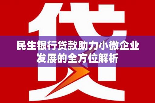 吴川民生银行贷款助力小微企业发展的全方位解析