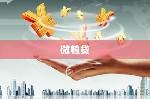 吴川微粒贷