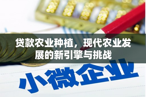 吴川贷款农业种植，现代农业发展的新引擎与挑战