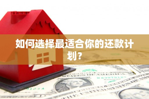 吴川如何选择最适合你的还款计划？