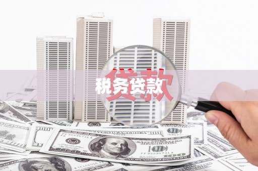 吴川税务贷款