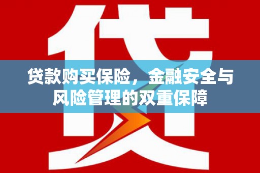 吴川贷款购买保险，金融安全与风险管理的双重保障