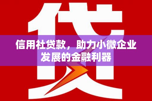 吴川信用社贷款，助力小微企业发展的金融利器