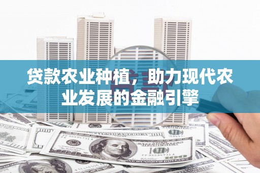 吴川贷款农业种植，助力现代农业发展的金融引擎