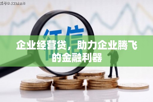 吴川企业经营贷，助力企业腾飞的金融利器