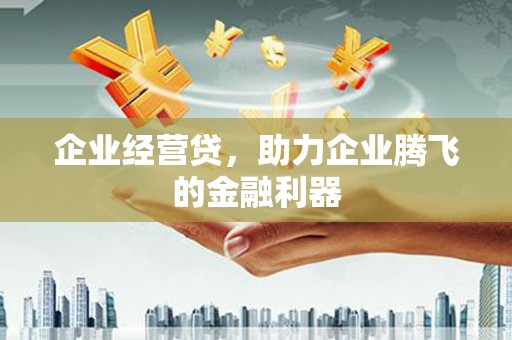吴川企业经营贷，助力企业腾飞的金融利器