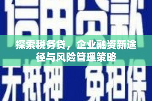 吴川探索税务贷，企业融资新途径与风险管理策略