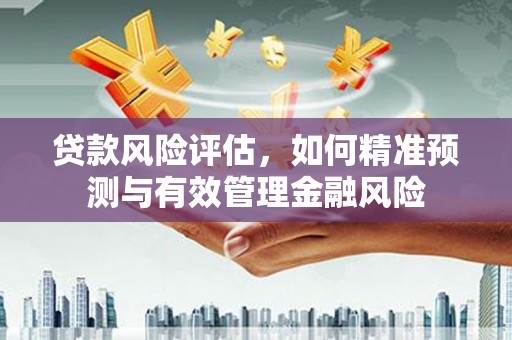 吴川贷款风险评估，如何精准预测与有效管理金融风险