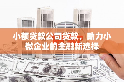 吴川小额贷款公司贷款，助力小微企业的金融新选择