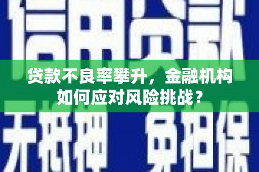 吴川贷款不良率攀升，金融机构如何应对风险挑战？