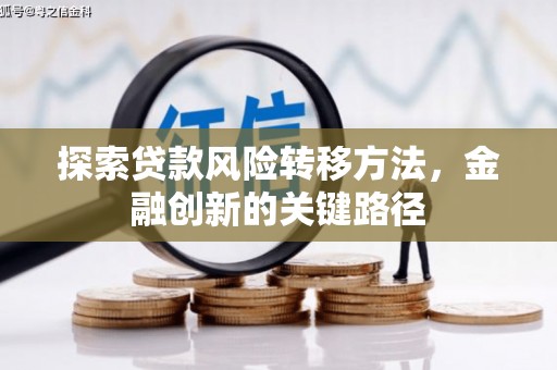 吴川探索贷款风险转移方法，金融创新的关键路径