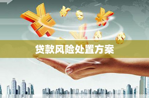 吴川贷款风险处置方案