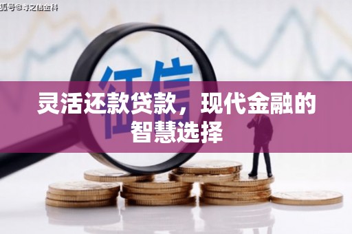吴川灵活还款贷款，现代金融的智慧选择