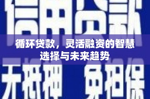 吴川循环贷款，灵活融资的智慧选择与未来趋势