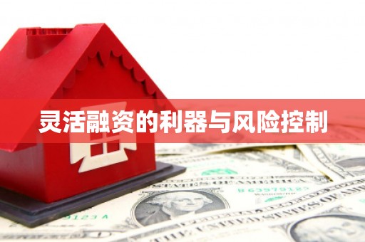 吴川灵活融资的利器与风险控制