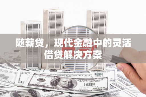 吴川随薪贷，现代金融中的灵活借贷解决方案