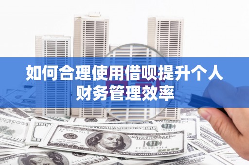 吴川如何合理使用借呗提升个人财务管理效率