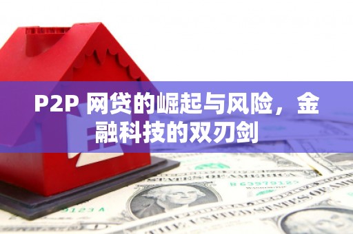 吴川P2P 网贷的崛起与风险，金融科技的双刃剑