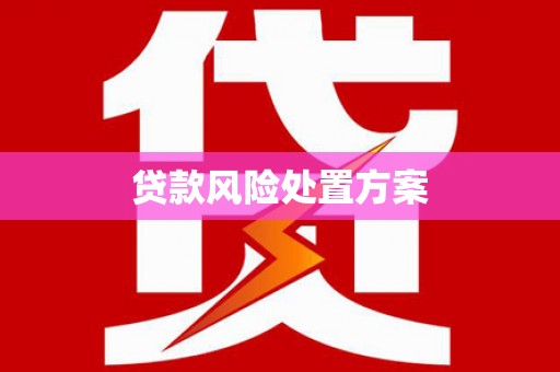 吴川贷款风险处置方案