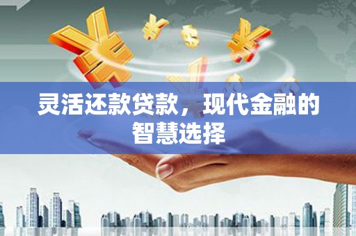 吴川灵活还款贷款，现代金融的智慧选择