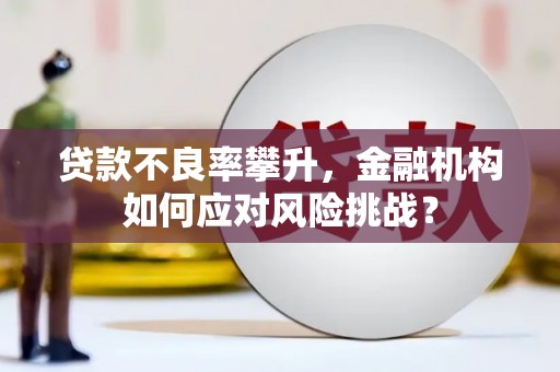 吴川贷款不良率攀升，金融机构如何应对风险挑战？