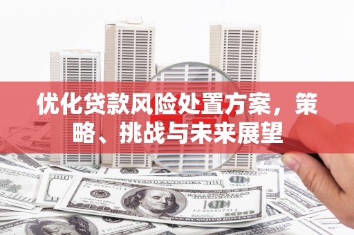 吴川优化贷款风险处置方案，策略、挑战与未来展望