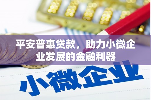 吴川平安普惠贷款，助力小微企业发展的金融利器
