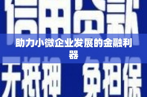 吴川助力小微企业发展的金融利器