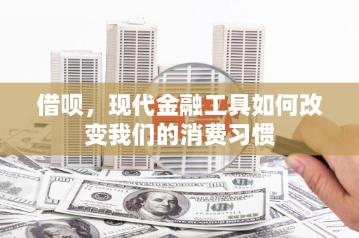 吴川借呗，现代金融工具如何改变我们的消费习惯